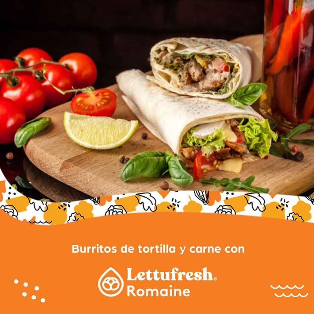 Burritos de tortilla y carne