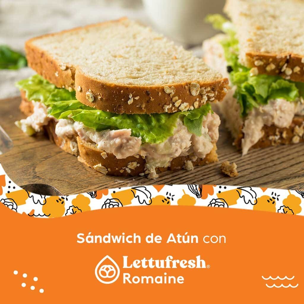 Sándwich de atún