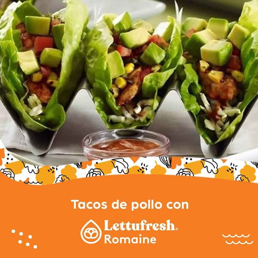 Tacos de lechuga con pollo