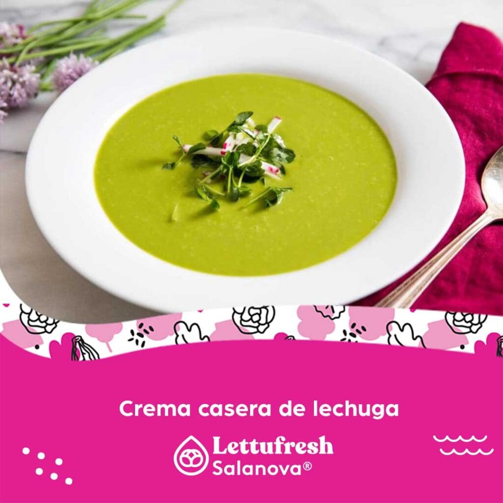 Crema casera de lechuga Salanova