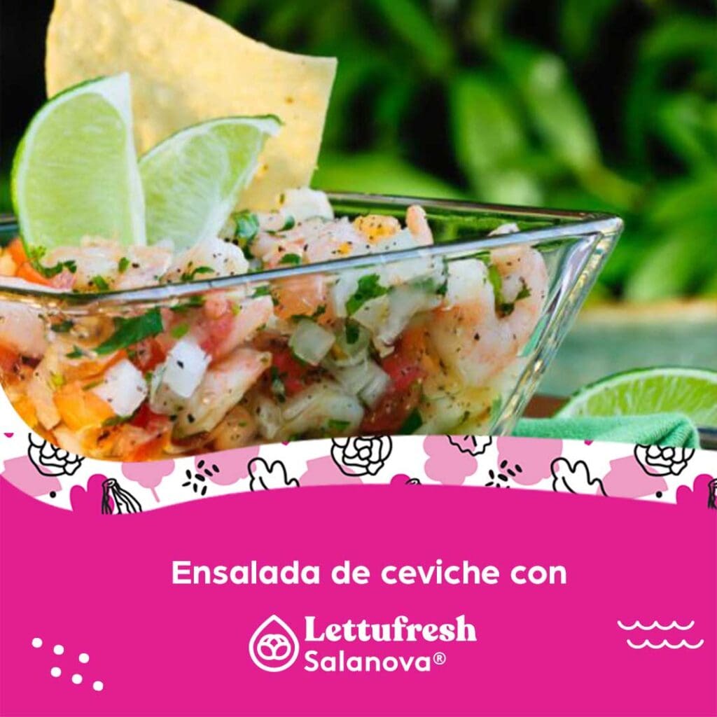 Ensalada de ceviche con lechuga 𝗦𝗮𝗹𝗮𝗻𝗼𝘃𝗮 de 𝐋𝐞𝐭t𝐮𝐟𝐫𝐞𝐬𝐡