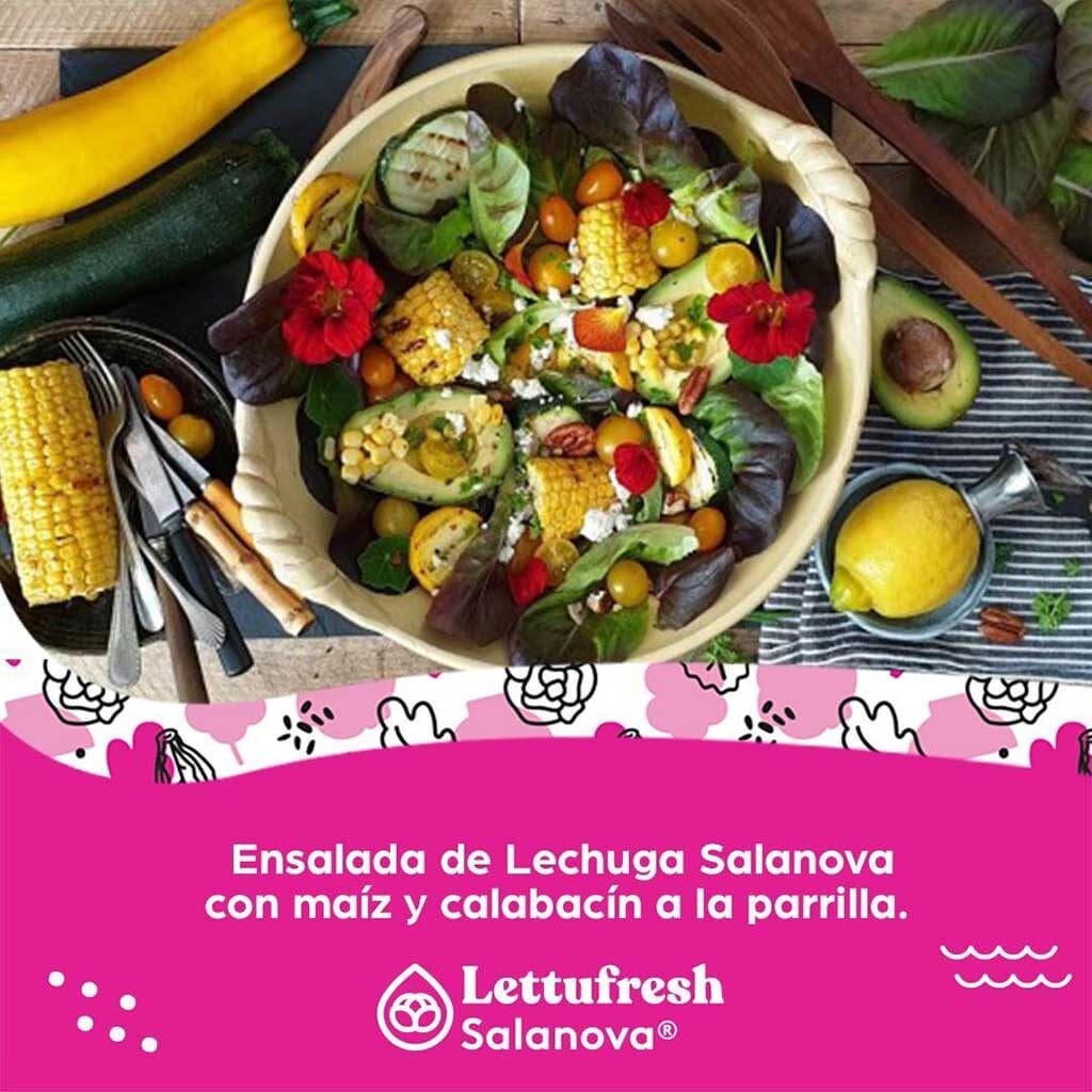 Ensalada de Salanova con maíz y calabacín a la parrilla