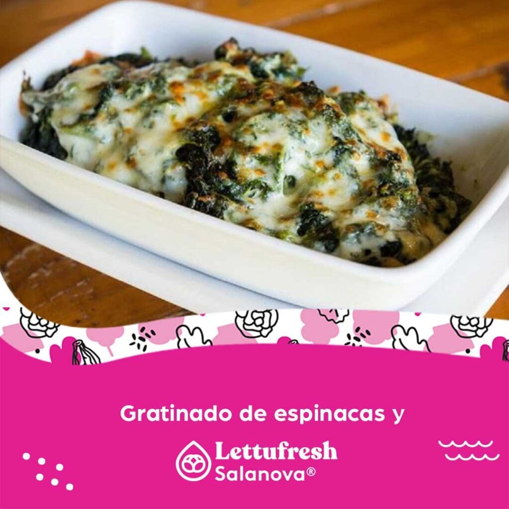 Gratinado de espinacas y lechuga Salanova