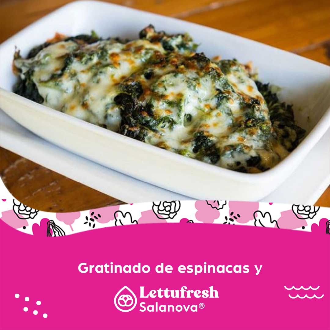 Gratinado de espinacas y lechuga Salanova