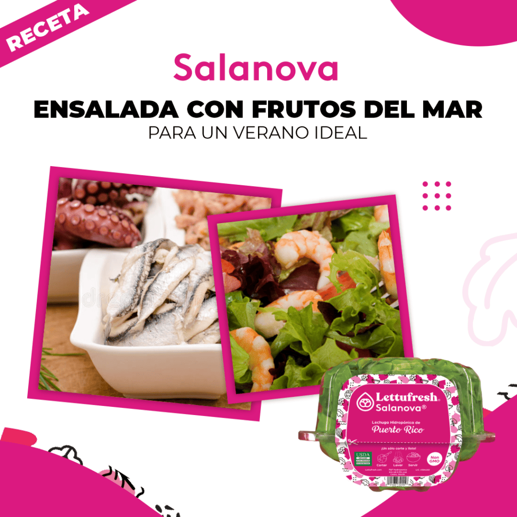 𝗘𝗡𝗦𝗔𝗟𝗔𝗗𝗔 de lechuga Salanova y frutos del mar